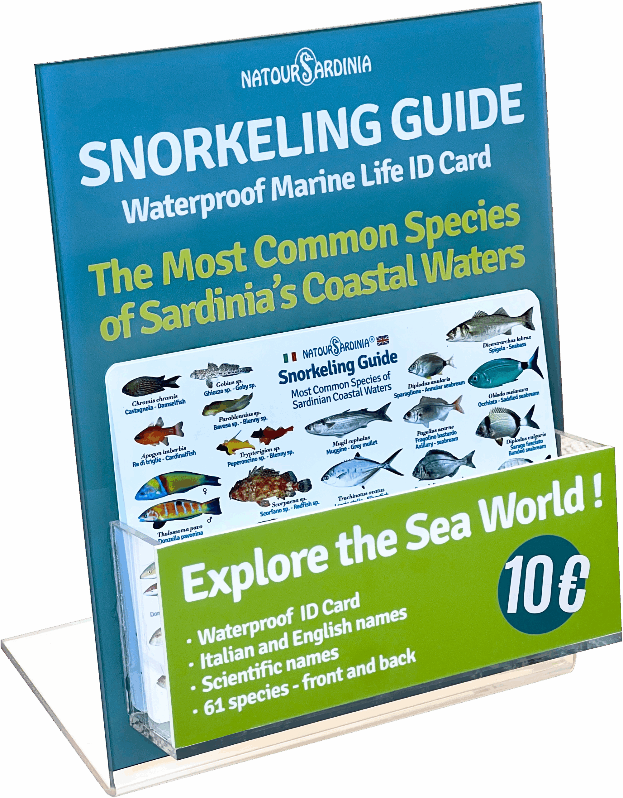 Plexiglass display stand with the Waterproof Marine Life ID Cards