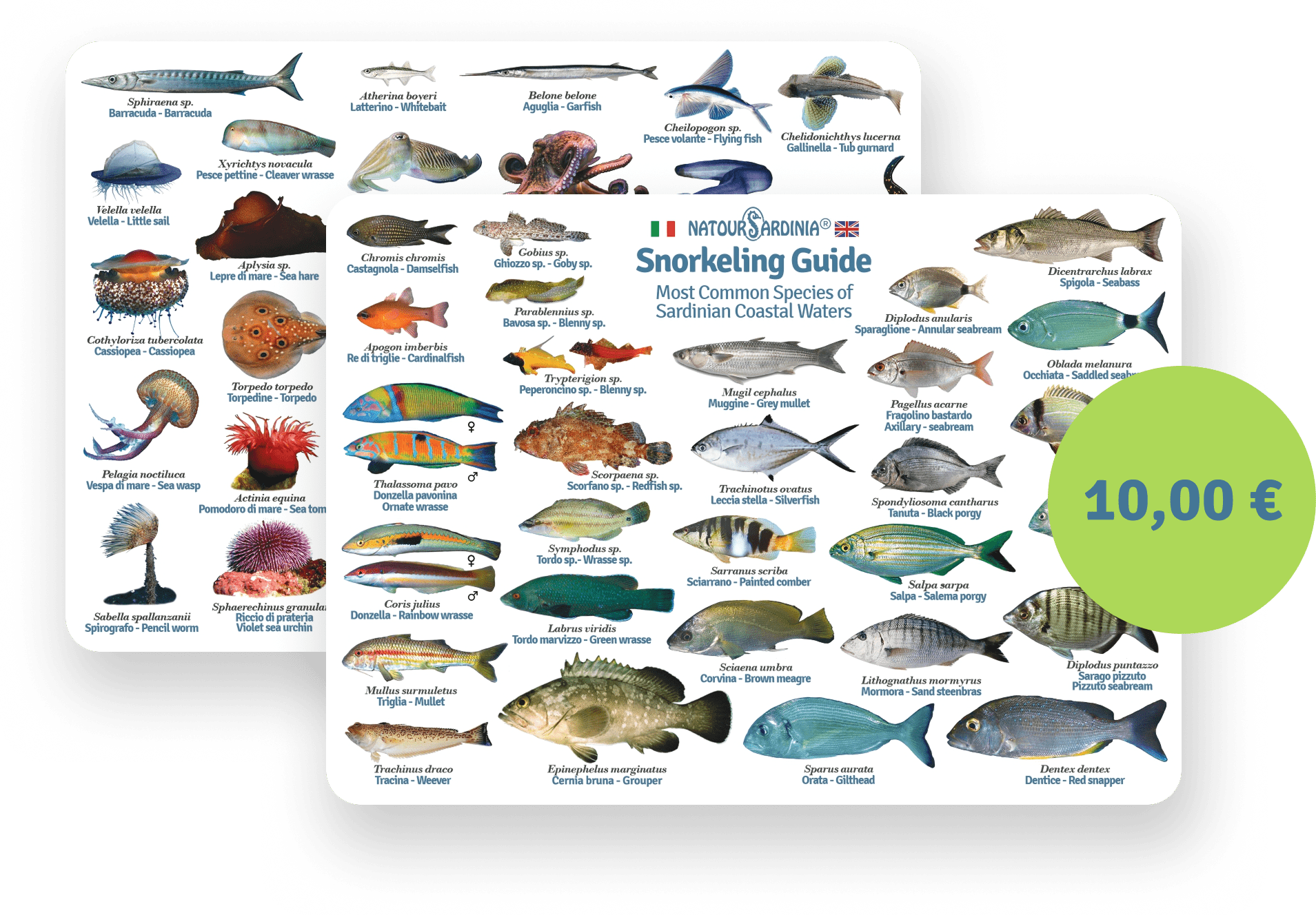 Waterproof marine life ID card