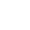 Fish In A Magnifying Glass Icon